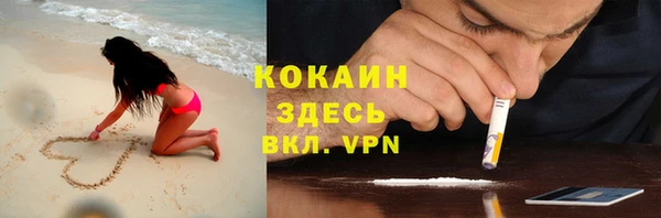 шишки Карпинск