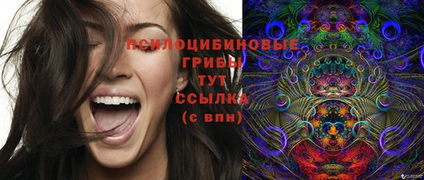 шишки Карпинск