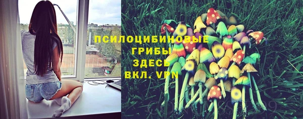 мет Карталы