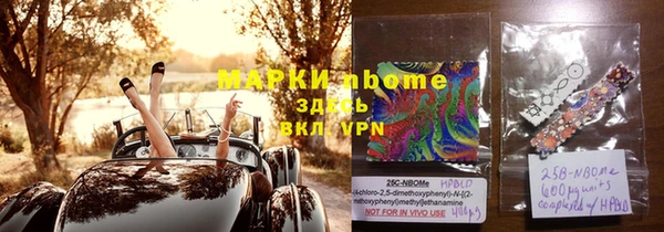 прущие грибы Касимов