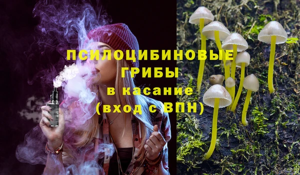 прущие грибы Касимов