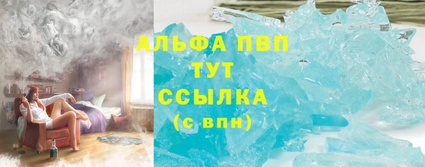 шишки Карпинск