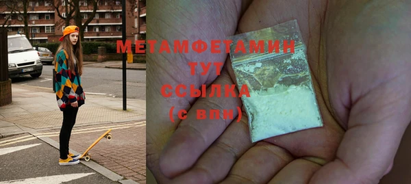 шишки Карпинск