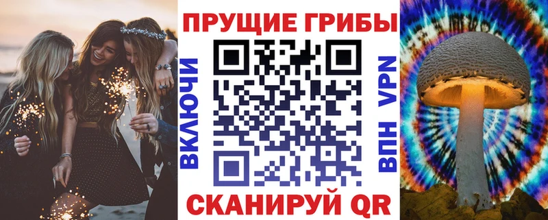 Купить закладки  Комсомольск-на-Амуре  Псилоцибиновые грибы прущие грибы 